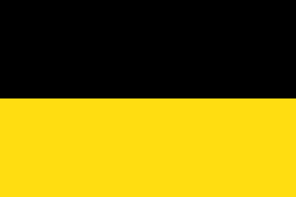 Yellow/Black