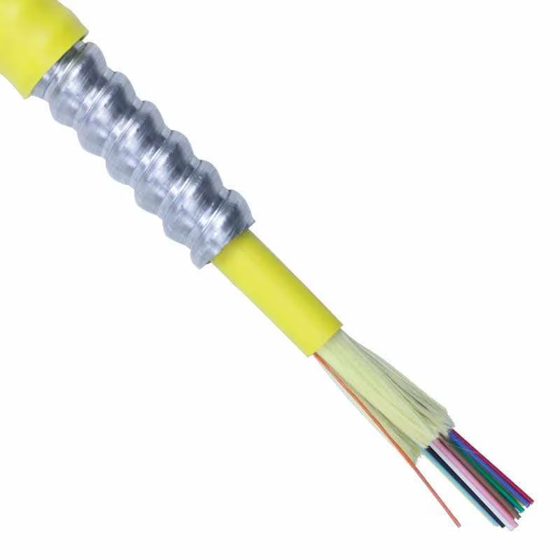 トップス CLANE STRIPE CABLE HALF SLEEVE CLANE(クラネ)｜STRIPE CABLE HALF SLEEVE CD/アイボリー の通販