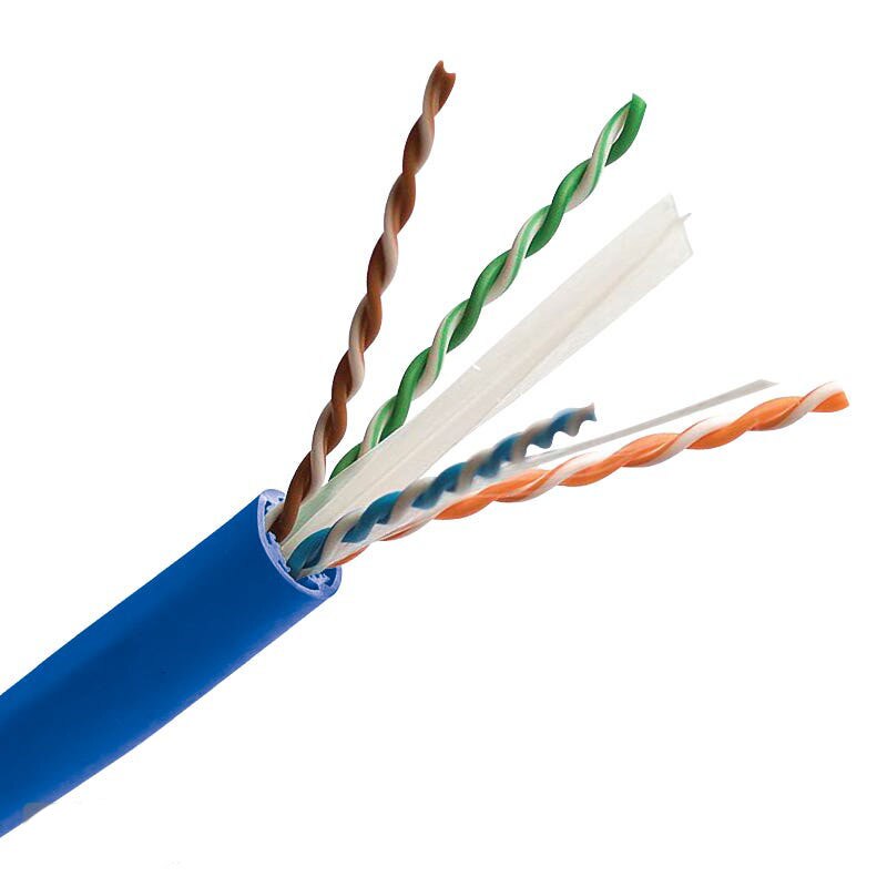 Essex Brownell Cat6A UTP Indoor Riser Cable - Blue
